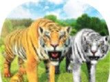 虚拟老虎家族模拟器logo图