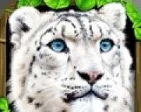终极雪豹模拟器logo图