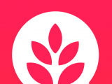 小麦圈logo图