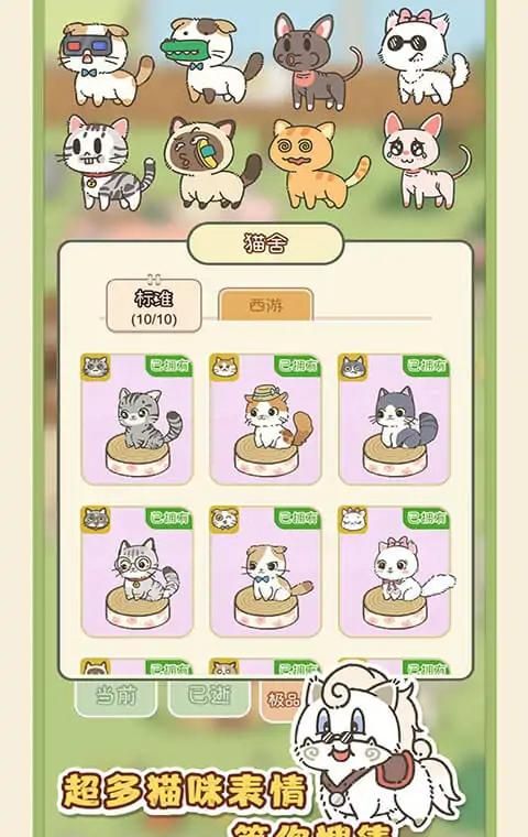 找下猫