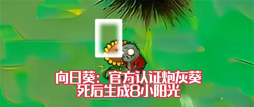 植物大战僵尸风韵版