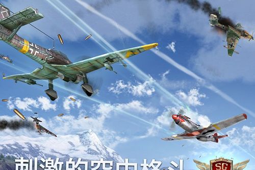 搏击长空：风暴特工队