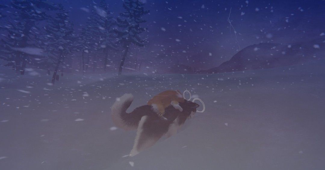 《我的小柯基》官方版