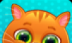 照顾猫咪小宝宝logo图