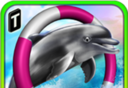 海豚比赛3Dlogo图