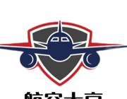 我的航空大亨logo图