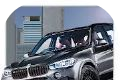 BMWX5漂移模拟器logo图