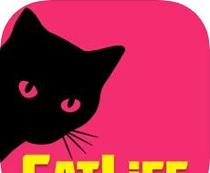 模拟猫的一生logo图