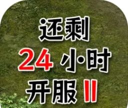 还有24小时开服2logo图