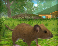 老鼠模拟器图标