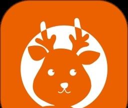 每时每课logo图