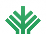 绿色学校logo图