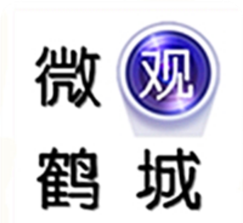 微观鹤城logo图