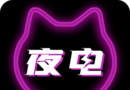 夜电logo图