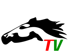 美丽阿巴嘎图标