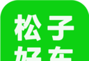 松子好车图标