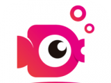 鲤鱼辅导logo图