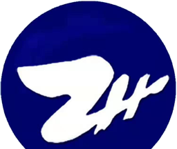庄河融媒logo图