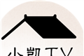 小凯TVlogo图