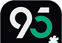 95分图标