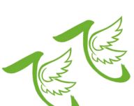 飞飞影视logo图