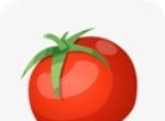 西红柿小说logo图