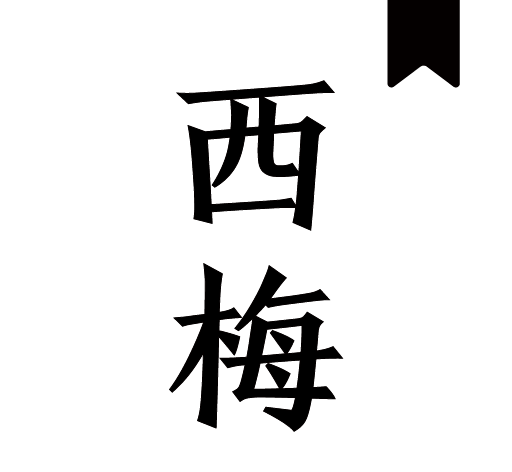 西梅小说logo图