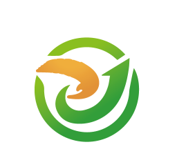 中翼电动