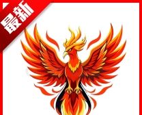 火焰鸟直装