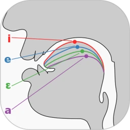 英语国际音标学习