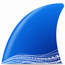 wireshark 32位绿色版图标