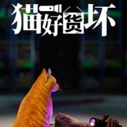 猫好货坏