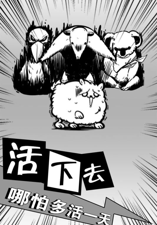 活到明天算我赢
