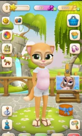 会说话的艾玛猫