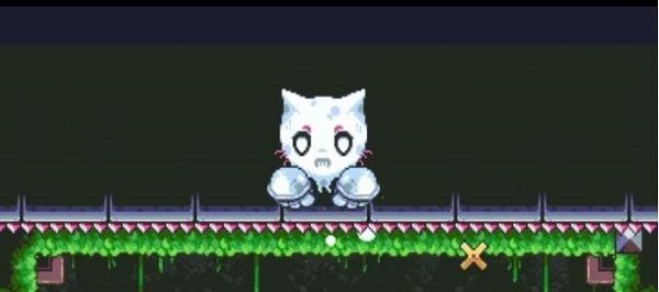 小猫死亡室