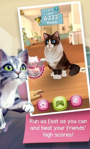 小猫逃离