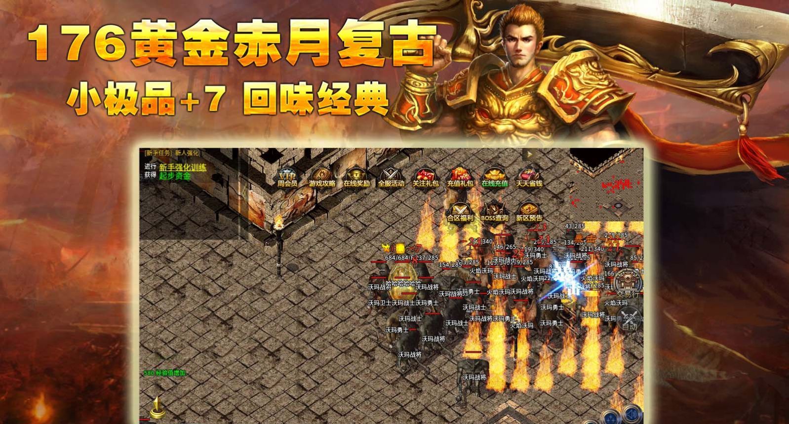 承天176黄金赤月