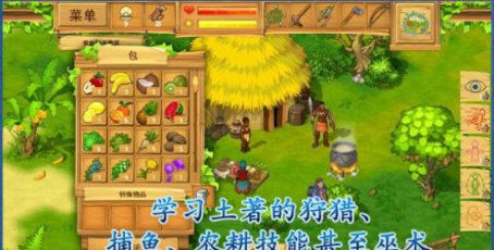 孤岛余生3：遗失的世界