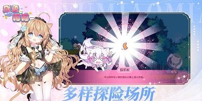 咸鱼喵喵