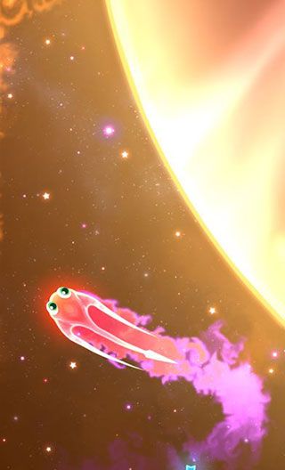 超级星鱼