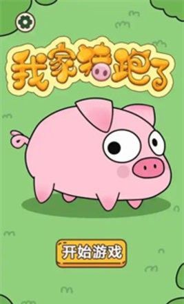 我家猪跑了