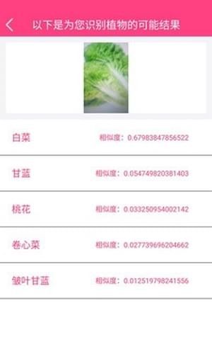 拍照识物