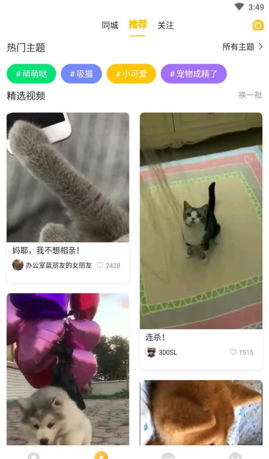 鲸宠