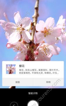 时时识物