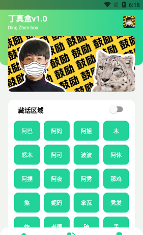 丁真盒