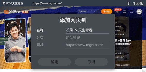 飞视浏览器