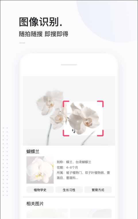 简单搜索