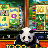 IGT游戏机：100熊猫