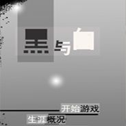 黑与白