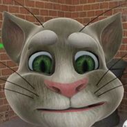 会说话的汤姆猫